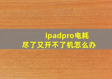 ipadpro电耗尽了又开不了机怎么办