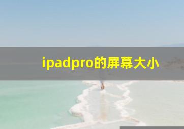 ipadpro的屏幕大小