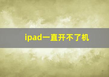 ipad一直开不了机