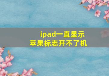 ipad一直显示苹果标志开不了机