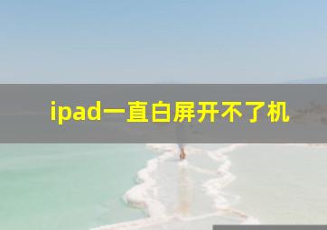 ipad一直白屏开不了机