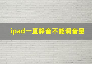 ipad一直静音不能调音量