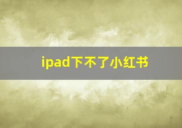 ipad下不了小红书