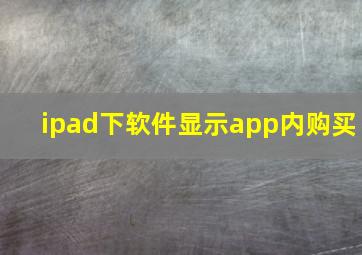 ipad下软件显示app内购买