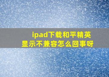 ipad下载和平精英显示不兼容怎么回事呀