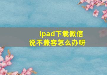 ipad下载微信说不兼容怎么办呀