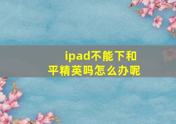 ipad不能下和平精英吗怎么办呢