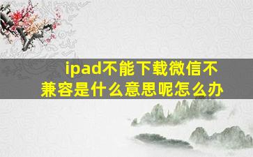 ipad不能下载微信不兼容是什么意思呢怎么办