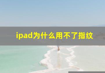 ipad为什么用不了指纹