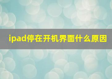 ipad停在开机界面什么原因