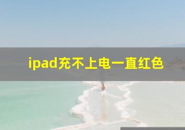 ipad充不上电一直红色