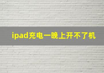 ipad充电一晚上开不了机