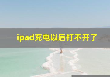 ipad充电以后打不开了