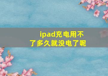 ipad充电用不了多久就没电了呢