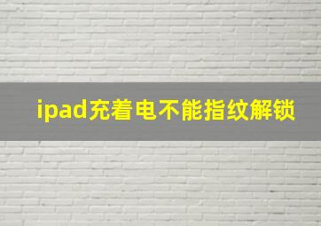 ipad充着电不能指纹解锁