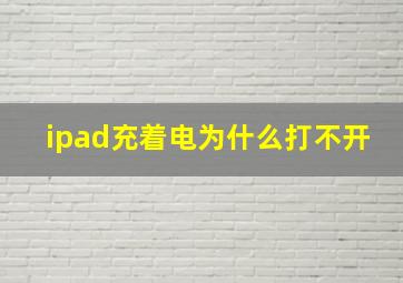 ipad充着电为什么打不开