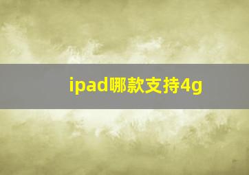 ipad哪款支持4g