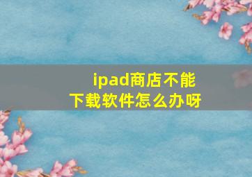 ipad商店不能下载软件怎么办呀