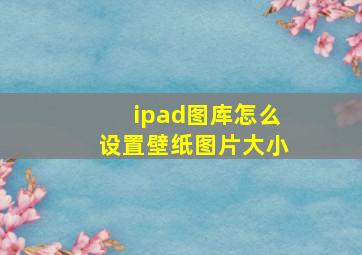 ipad图库怎么设置壁纸图片大小