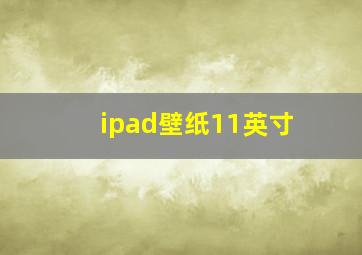 ipad壁纸11英寸