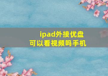 ipad外接优盘可以看视频吗手机