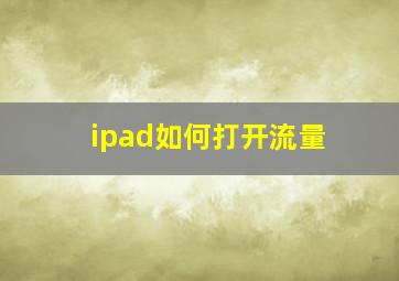 ipad如何打开流量