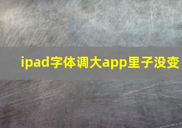 ipad字体调大app里子没变