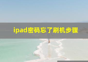 ipad密码忘了刷机步骤