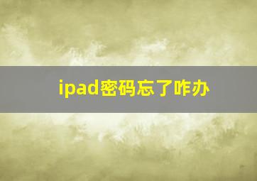 ipad密码忘了咋办