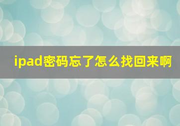 ipad密码忘了怎么找回来啊