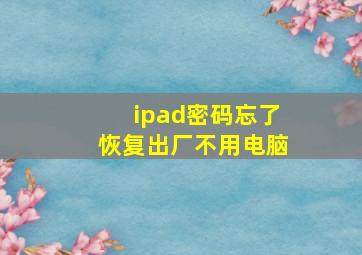 ipad密码忘了恢复出厂不用电脑