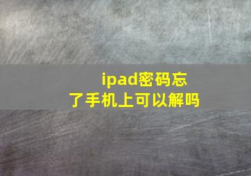 ipad密码忘了手机上可以解吗