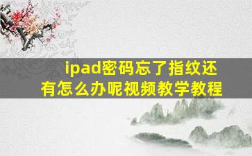 ipad密码忘了指纹还有怎么办呢视频教学教程