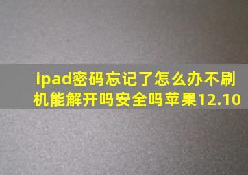 ipad密码忘记了怎么办不刷机能解开吗安全吗苹果12.10