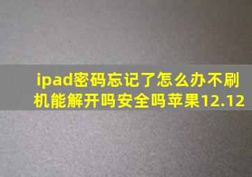 ipad密码忘记了怎么办不刷机能解开吗安全吗苹果12.12