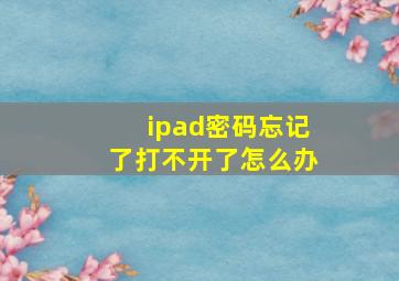 ipad密码忘记了打不开了怎么办