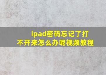 ipad密码忘记了打不开来怎么办呢视频教程