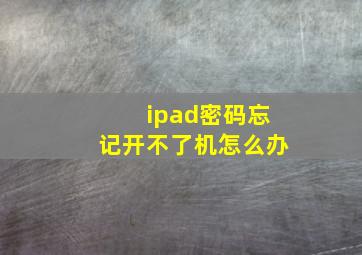 ipad密码忘记开不了机怎么办