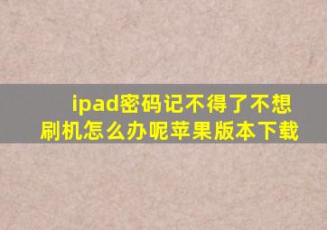 ipad密码记不得了不想刷机怎么办呢苹果版本下载