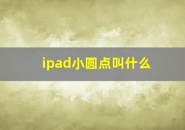 ipad小圆点叫什么