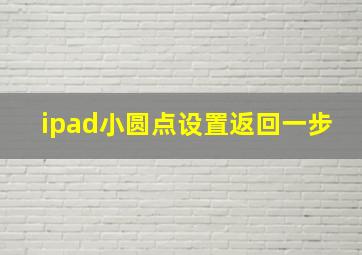 ipad小圆点设置返回一步