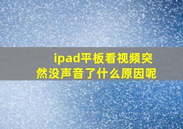 ipad平板看视频突然没声音了什么原因呢