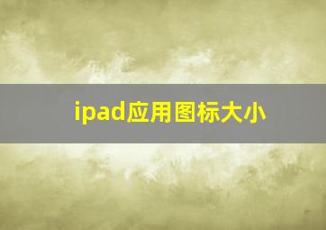 ipad应用图标大小