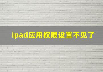 ipad应用权限设置不见了