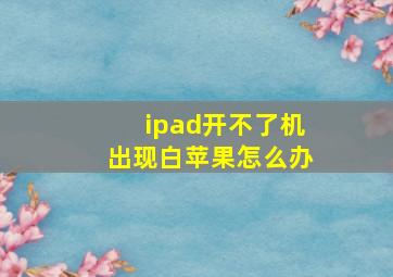 ipad开不了机出现白苹果怎么办