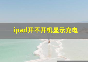 ipad开不开机显示充电