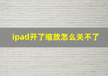 ipad开了缩放怎么关不了