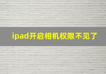 ipad开启相机权限不见了