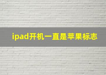 ipad开机一直是苹果标志