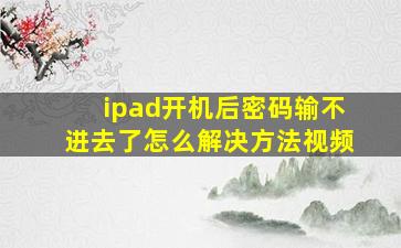 ipad开机后密码输不进去了怎么解决方法视频